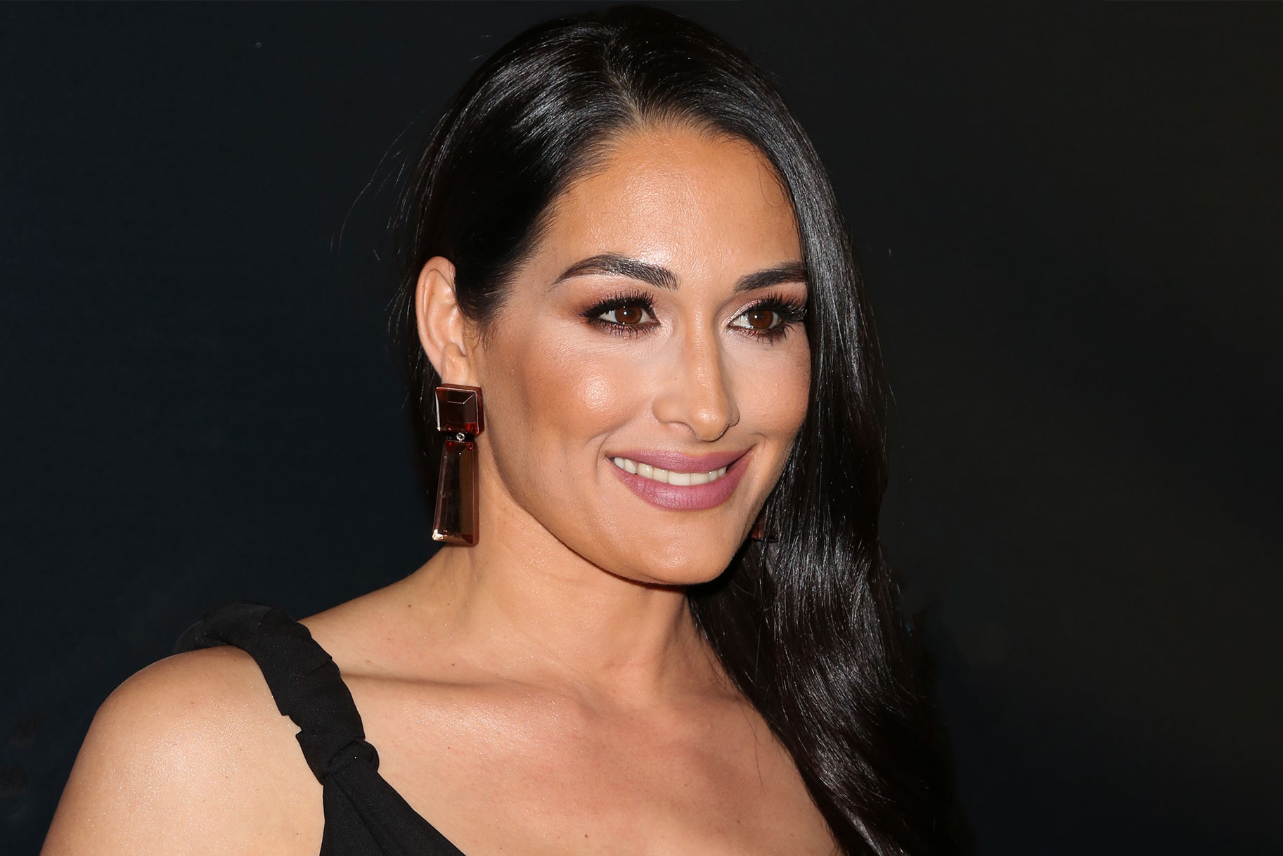 Who Is Nikki Bella? AGT: Extreme Judge Possible Reality TV Return