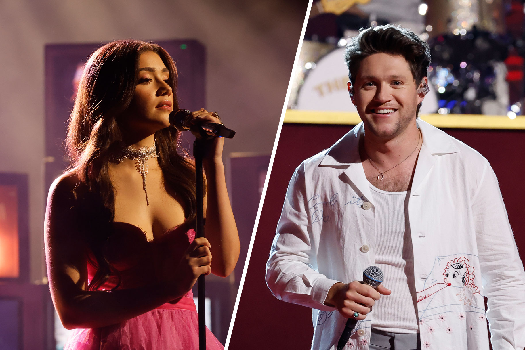 Gina Miles accompanies Niall Horan on tour: dates and venues