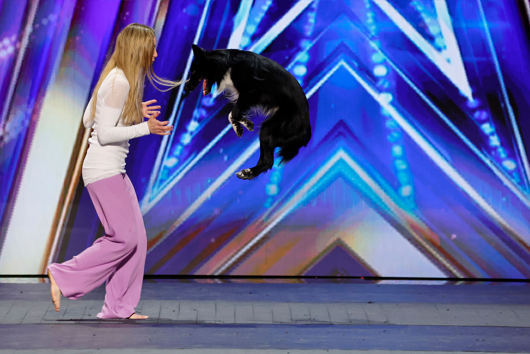 AGT See the Dog Dancer Sofia Vergara Calls "Magic" NBC Insider