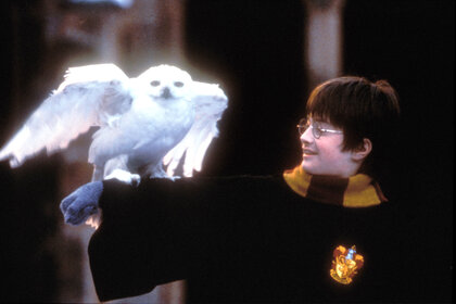 Harry Potter and his owl in Harry Potter And The Sorcerers Stone