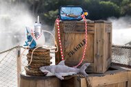 A bag, cupholder, and shark plushie for Universal Studios Jaws 50th Anniversary Merchandise.