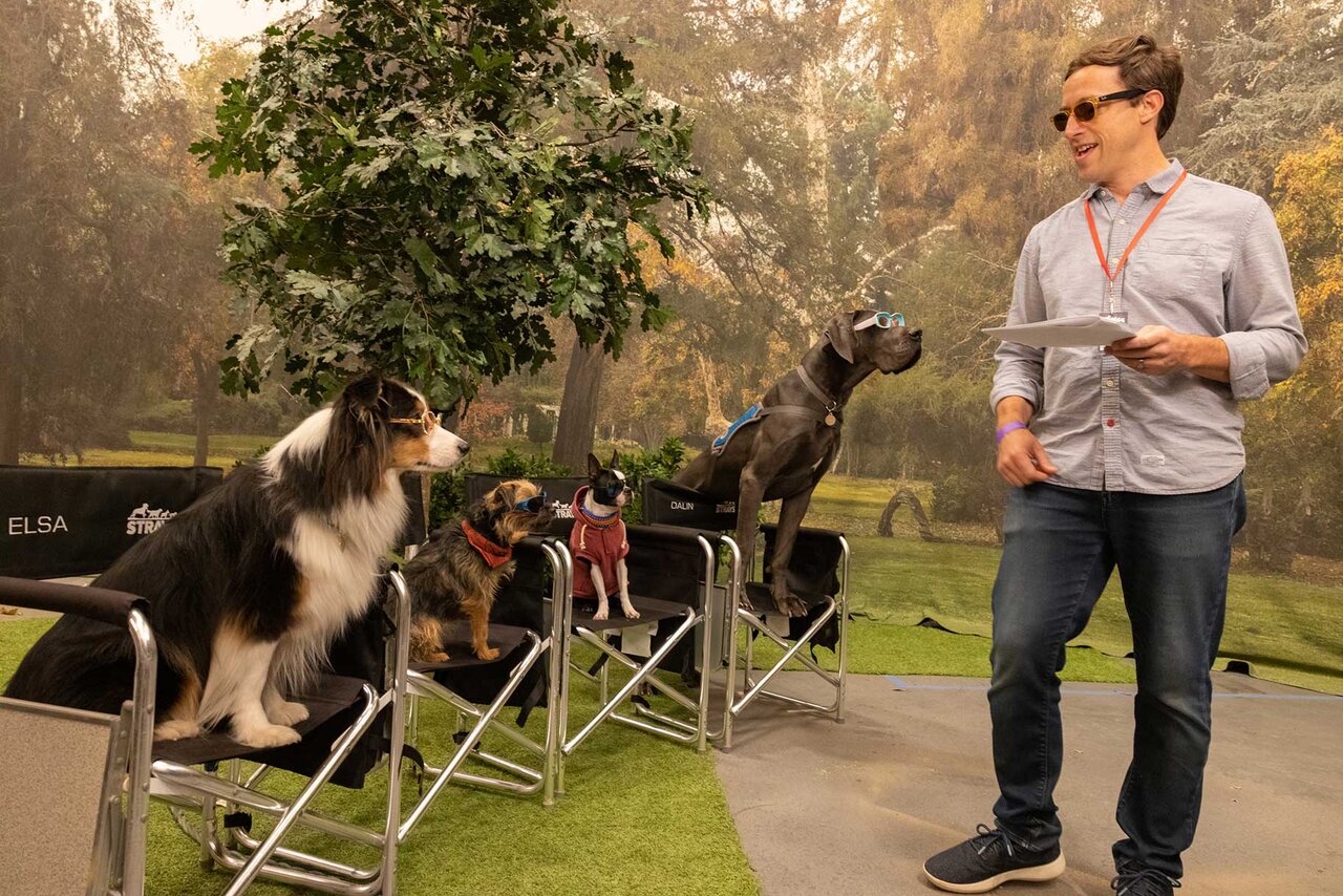 How Strays Director Got Dogs to Do R-Rated Comedy | NBC Insider