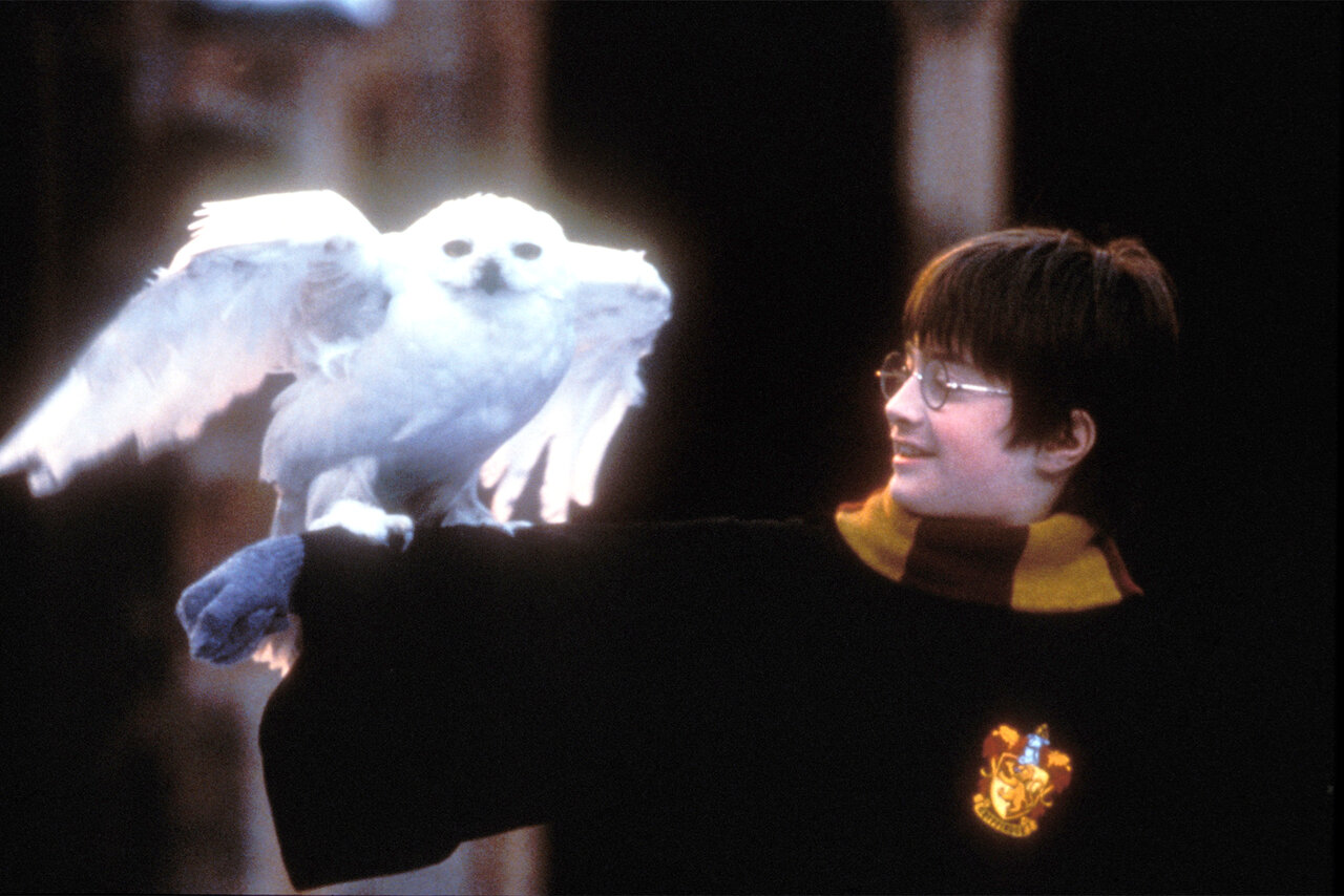 Where to Stream the Harry Potter Movies NBC Insider