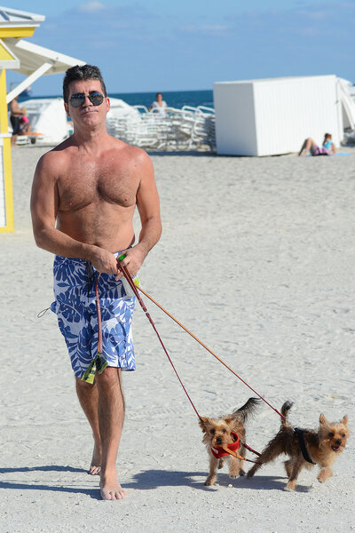 Simon Cowell walks his Dogs on the beach