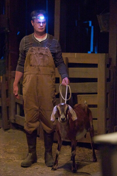 Dwight Shrute stands in a barn holding a goat on a leash on The Office Episode 917