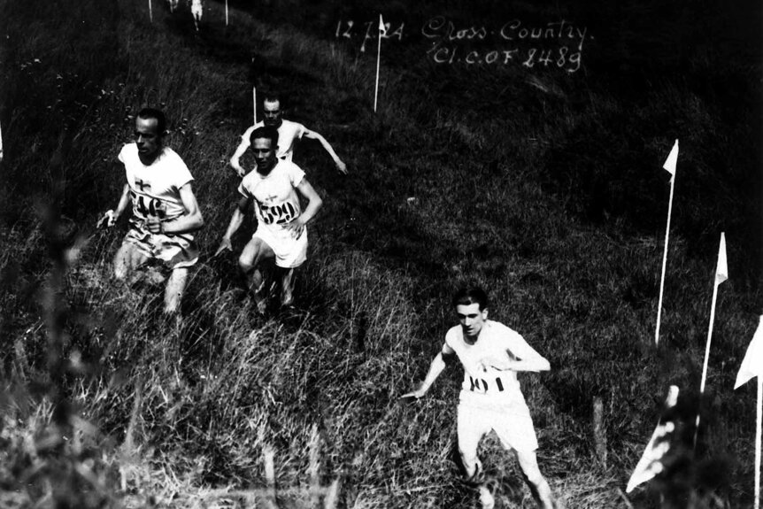 Cross country runners run through grass.