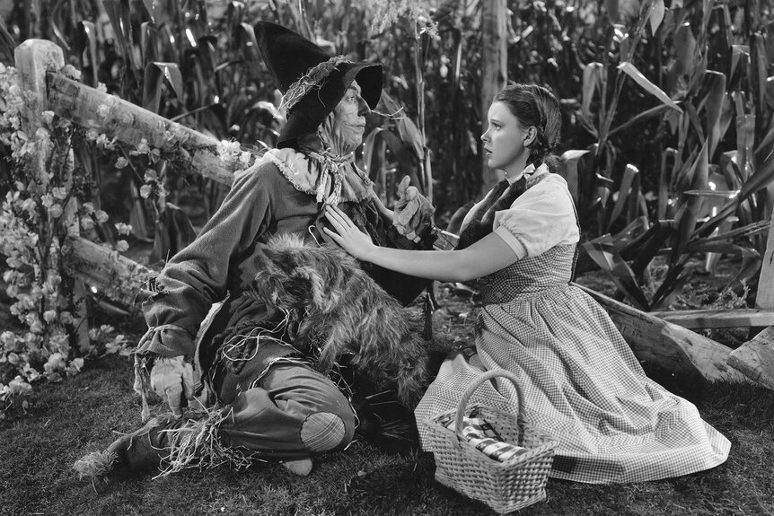 Dorothy looks at the scarecrow in a scene from The Wizard of Oz