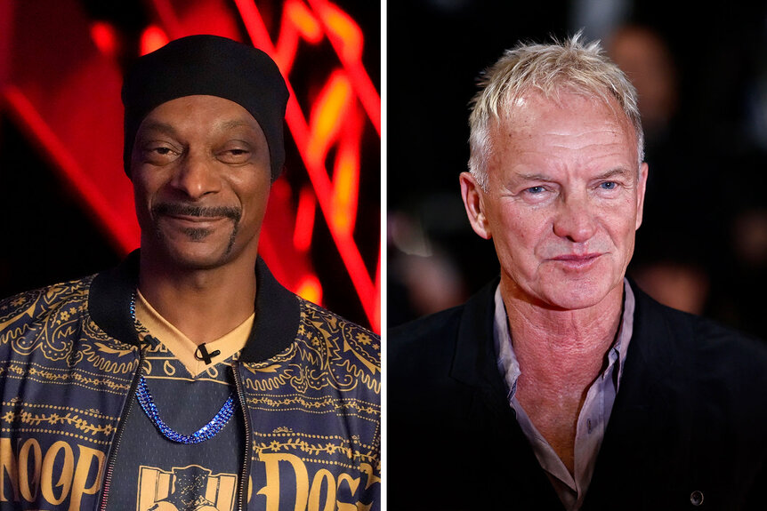 Split of Snoop Dogg and Sting