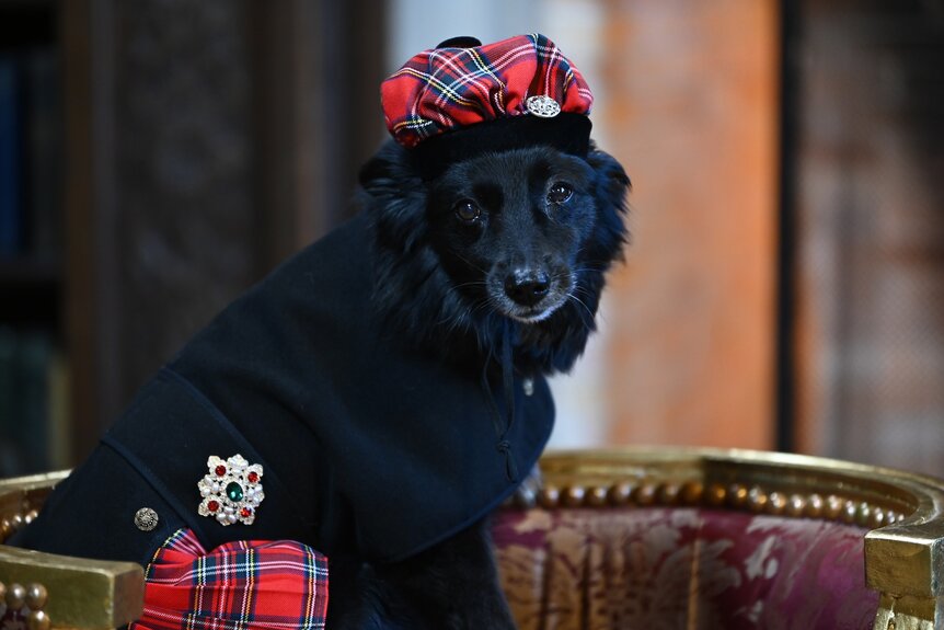 Lala wears a matching tartan hat and kilt on The Traitors Episode 301/